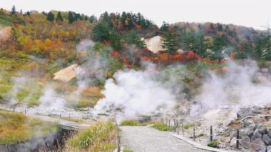 Towada Hachimantai Ulusal Parkı, Akita Bölgesi, Japonya 'da sonbahar mevsiminde Fuke no Yu onsen' in renkli yeşillik manzarası güzel jeotermal alanı kaplıyor..