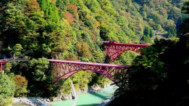 Kurobe Vadisi Ndeki Kurobe Nehri Üzerindeki Kırmızı Bir Köprüde Sonbahar — Stok video