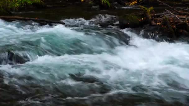 Närbild Floden Oirase Flyter Snabbt Över Klipporna Färgglada Lövverk Hösten — Stockvideo
