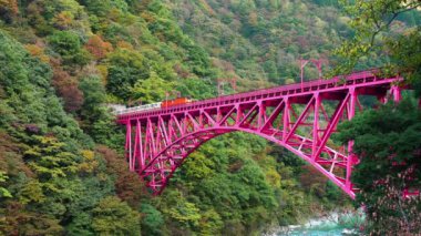 Açık vagon turistleri tünelden geçerek Japonya 'nın Toyama bölgesindeki Kurobe Vadisi' ndeki Kurobe Nehri üzerindeki kırmızı köprüden geçtiler..