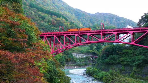 Вид Відкритий Вагон Туристичний Поїзд Працює Червоному Мосту Ущелині Куробе — стокове відео