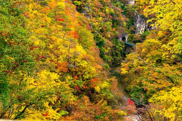 Schöne Herbstfärbung an der Naruko-Schlucht — Stockfoto