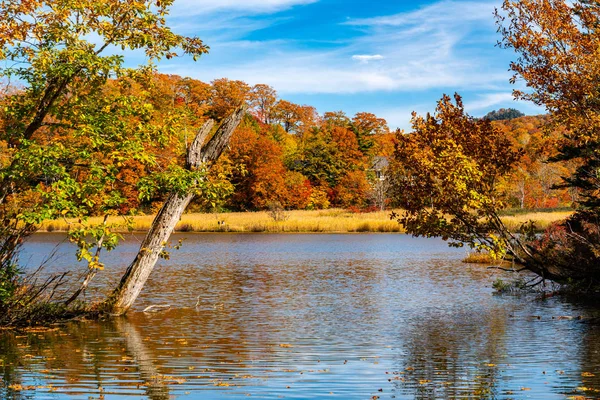 Bella vista del fogliame colorato della stagione autunnale a Onuma Pon — Foto Stock