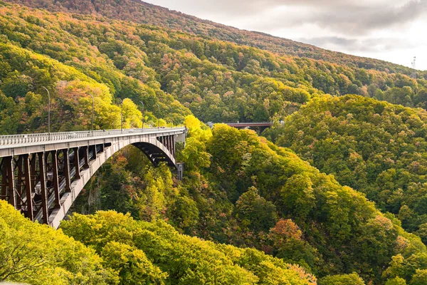 View of Jogakura Bridge with the beautiful forest mountain of au — Stock Photo, Image