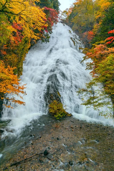 秋の紅葉の森の中にうだきの景色 — ストック写真