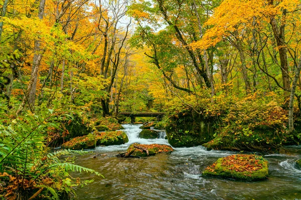 Rio Oirase flui na floresta de folhagem colorida do outono seaso — Fotografia de Stock