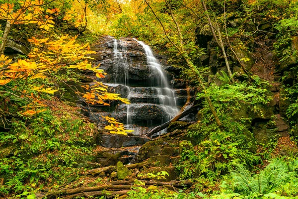 Alta cascada en el colorido follaje del bosque otoñal de Oiras —  Fotos de Stock