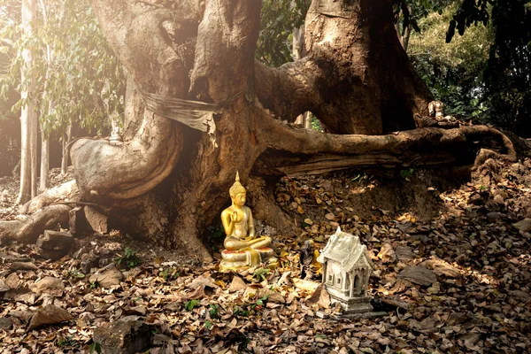 Буддийская статуя у корня дерева — стоковое фото