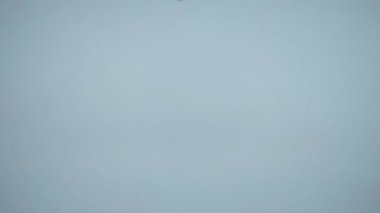 İlaç yavaş çekimde mavi arkaplana düşüyor