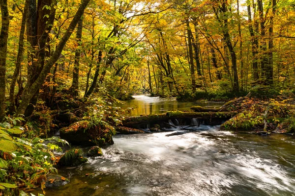 Bela Vista Panorâmica Fluxo Corrente Montanha Oirase Floresta Folhagem Outono — Fotografia de Stock