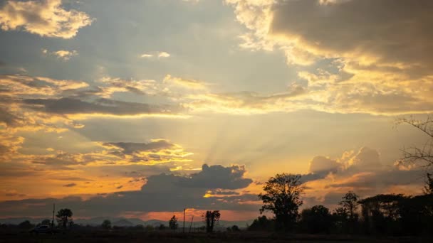 Zeitraffer Des Schönen Sonnenuntergangs Auf Dem Abgeernteten Reisfeld — Stockvideo