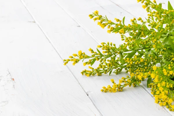 Flores Amarillas Verdes Frescas Sobre Fondo Blanco Madera — Foto de Stock