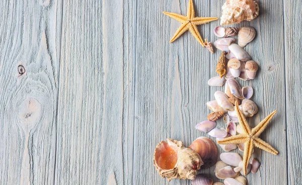 Conchas y estrellas de mar sobre fondo de madera turquesa — Foto de Stock