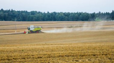 Bir biçerdöver buğday hasat
