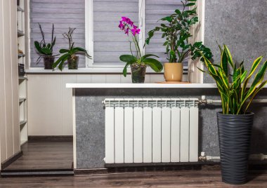 İçerideki ısıtma kaloriferi.