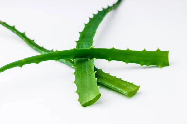 Daun Vera Aloe Tutup Dengan Jus Mengalir Latar Belakang Putih — Stok Foto