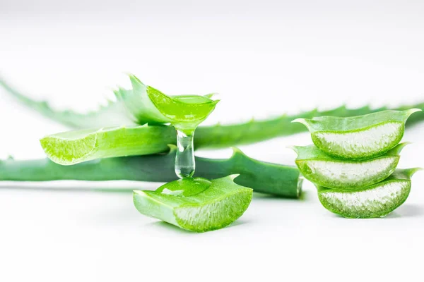 Aloe Vera Leaves Close Flowing Juice White Background Close — Stock Photo, Image