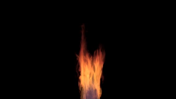 Tűzzel égő nagy függőleges 4k hurok az alfa-csatornát — Stock videók