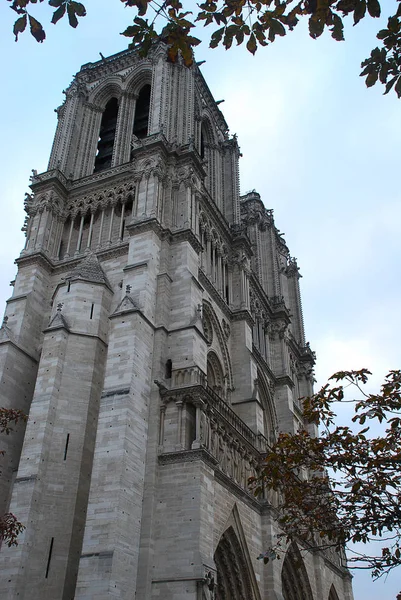 Katedra Notre Dame, Paryż, Francja — Zdjęcie stockowe