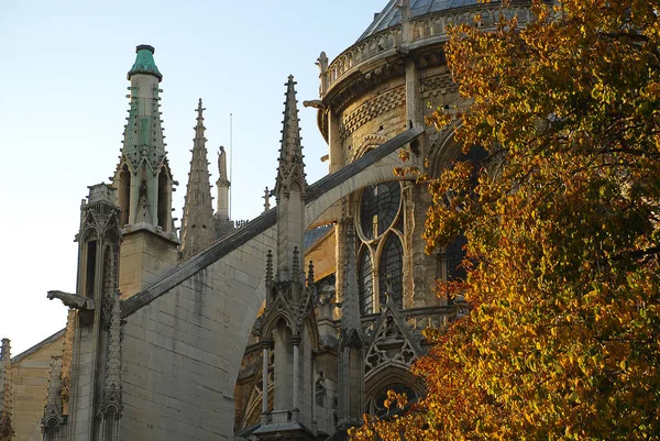 Notre-Dame de Paris, Fransa-katedralin Spire ve Doğu tarafı — Stok fotoğraf