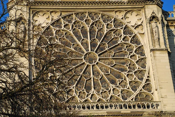 Notre-Dame de Paris, França - janela de rosa do Sul — Fotografia de Stock