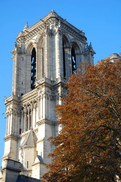 Notre-Dame de Paris, Frankrike — Stockfoto