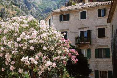 Kotor (Karadağ): ön tarafta çiçeklerle donatılmış tipik ev