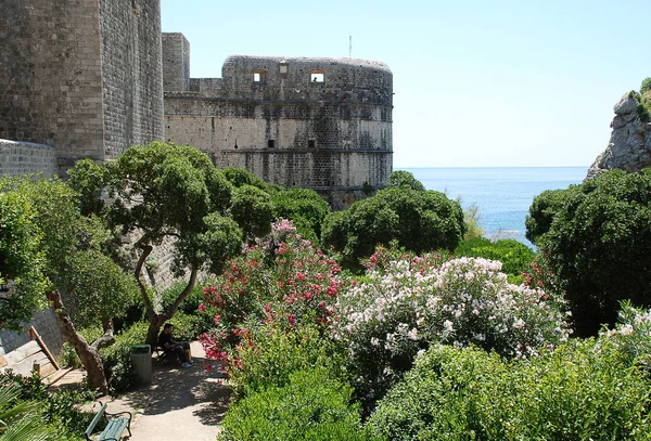 La muralla de Dubrovnik Croacia — Foto de Stock