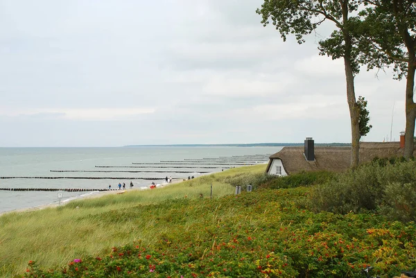 Береговая линия в Ahrenshoop, Fischland, Германия — стоковое фото