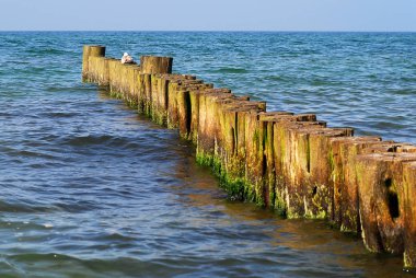 Sahil koruma Kuehlungsborn (Almanya): groynes