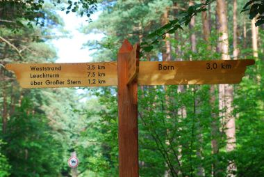trail sign in the forest of Born (Darss, Germany) clipart