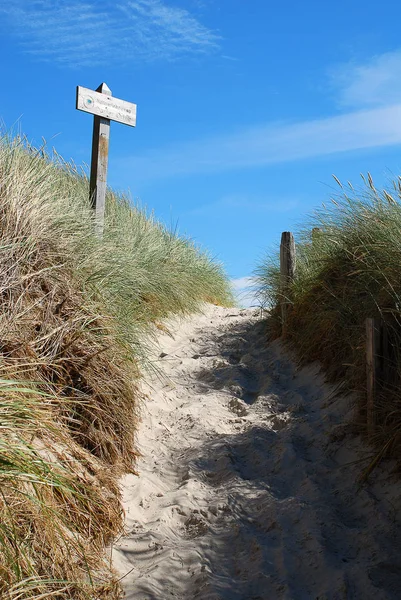 Path to the beach, Darsser Ort, Germany — Stock Photo, Image