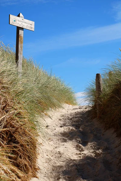 Path to the beach, Darsser Ort, Germany — Stock Photo, Image