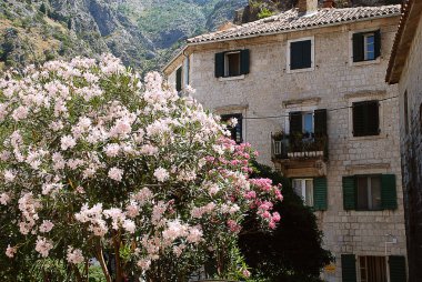 Kotor (Karadağ): ön tarafta çiçeklerle donatılmış tipik ev