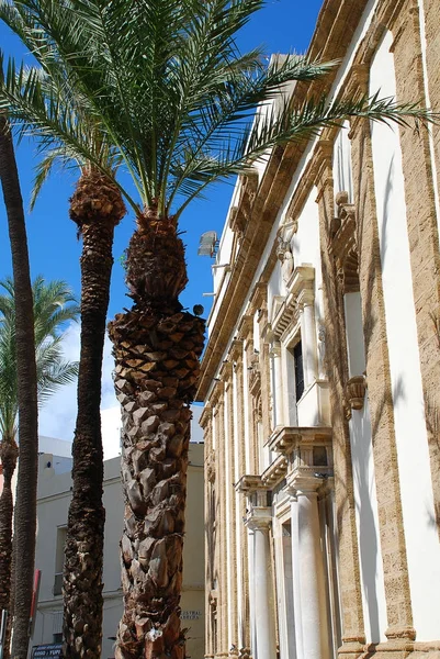 Casa típica com palmeiras em Cádiz, Espanha — Fotografia de Stock