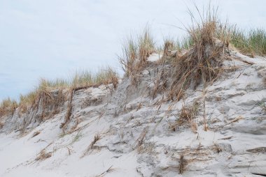 Manzara Amrum, Almanya