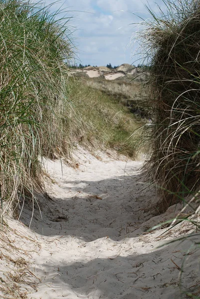 Manzara Amrum, Almanya