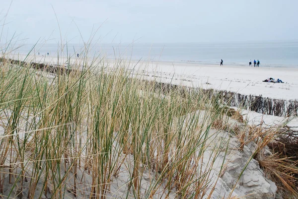 Paisaje en Amrum, Alemania —  Fotos de Stock