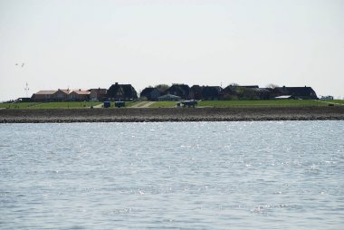 Hallig Hooge (Almanya görünümünü)
