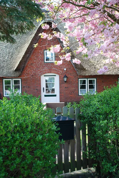 Tipikus ház a sziget Amrum (Németország). — Stock Fotó