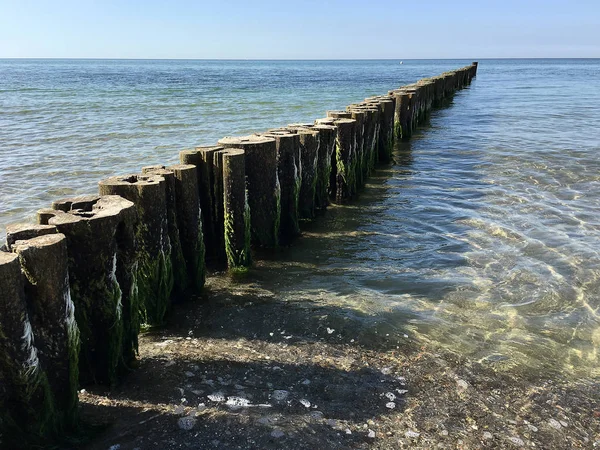 海岸のバルト海 (ドイツ ・ キュールンクスボルン) の保護: groynes — ストック写真