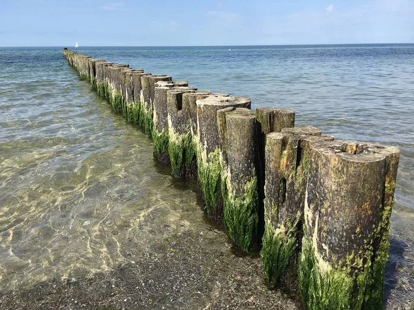 Узбережжя захисту на Балтійському морі (Kuehlungsborn, Німеччина): хвилерізи — стокове фото