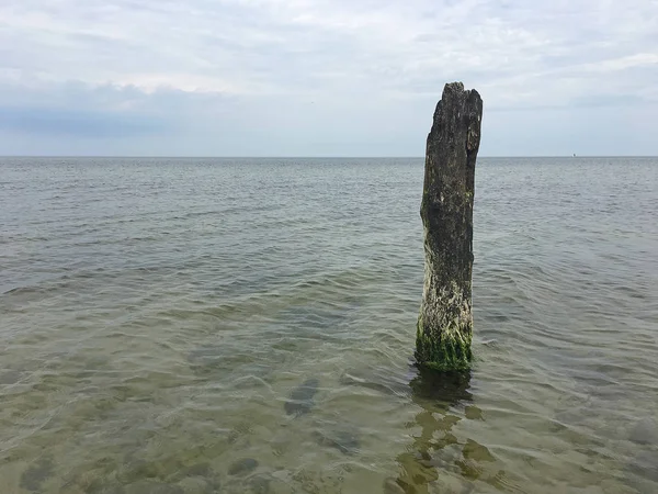 Protection côtière à la mer Baltique (Kuehlungsborn, Allemagne) : groynes — Photo