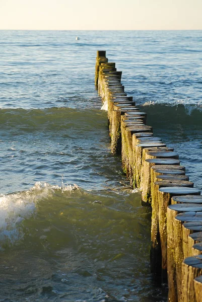 海岸のバルト海 (ドイツ ・ キュールンクスボルン) の保護: groynes — ストック写真
