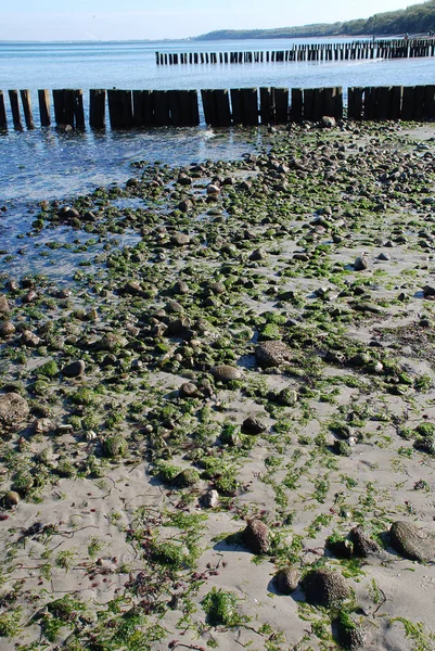 Береговая охрана Балтийского моря (Kuehlungsborn, Germany): groynes — стоковое фото