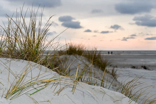 Krajina na ostrově Amrum, Německo — Stock fotografie