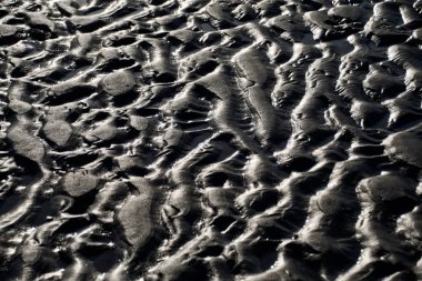 Solucan dışkıları (arenicola marinası), Amrum Almanya