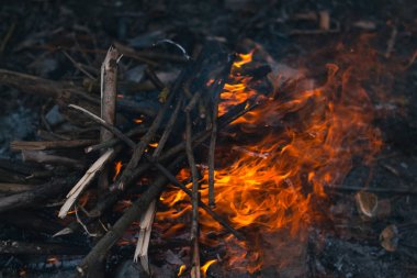 Şenlik ateşi bahar niteliğine.