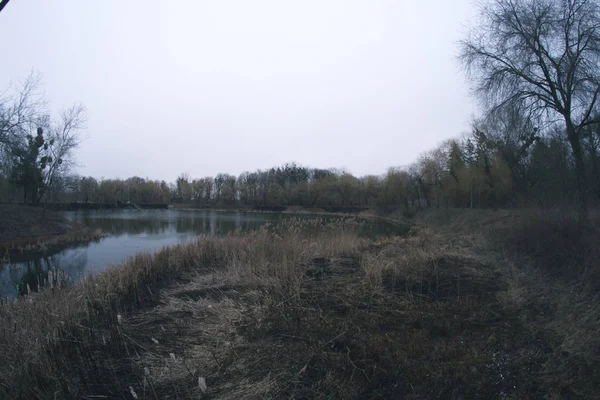 Paysage printanier près de la rivière au fisheye — Photo