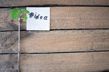 Kağıt ahşap arka plan üzerinde